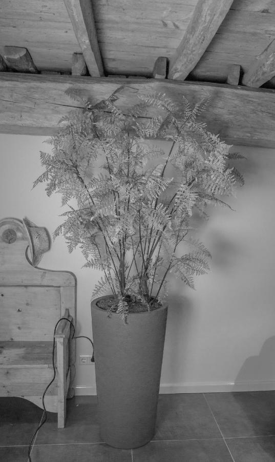 Bed and Breakfast Bed En Box 3610 Oirschot Exteriér fotografie